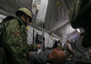 Japanese Forces learn tactical combat casualty care