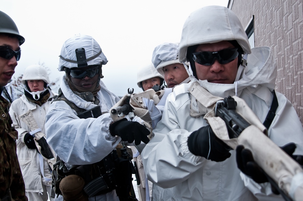 Japan, US armies train together during Exercise North Wind 2015