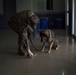 Marine Corps dog handlers rehearse explosive detection measures