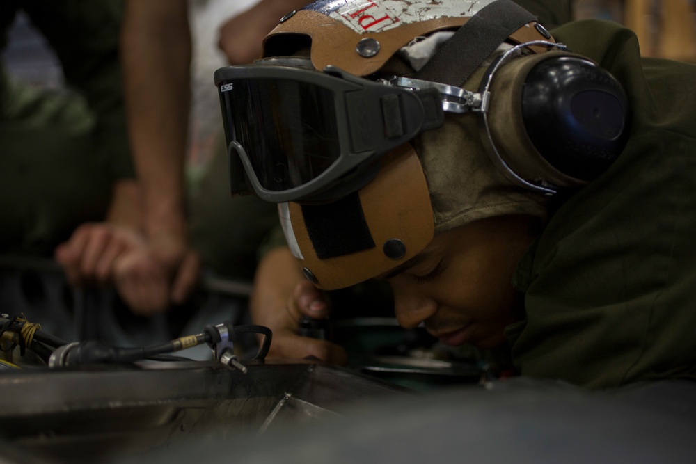 Harrier Maintanance