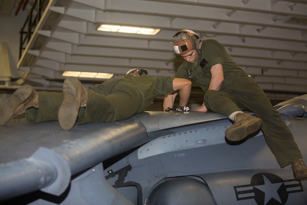 Harrier Maintanance