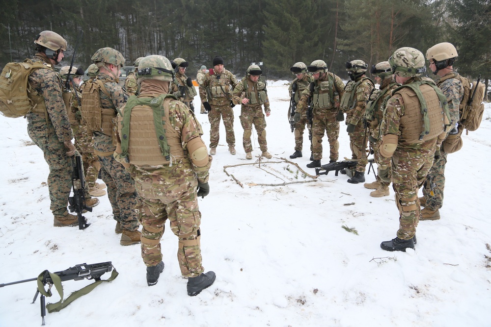 Georgian mission rehearsal exercise