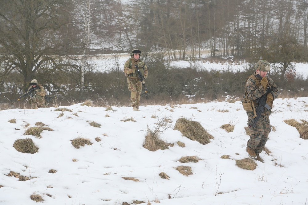 Georgian mission rehearsal exercise