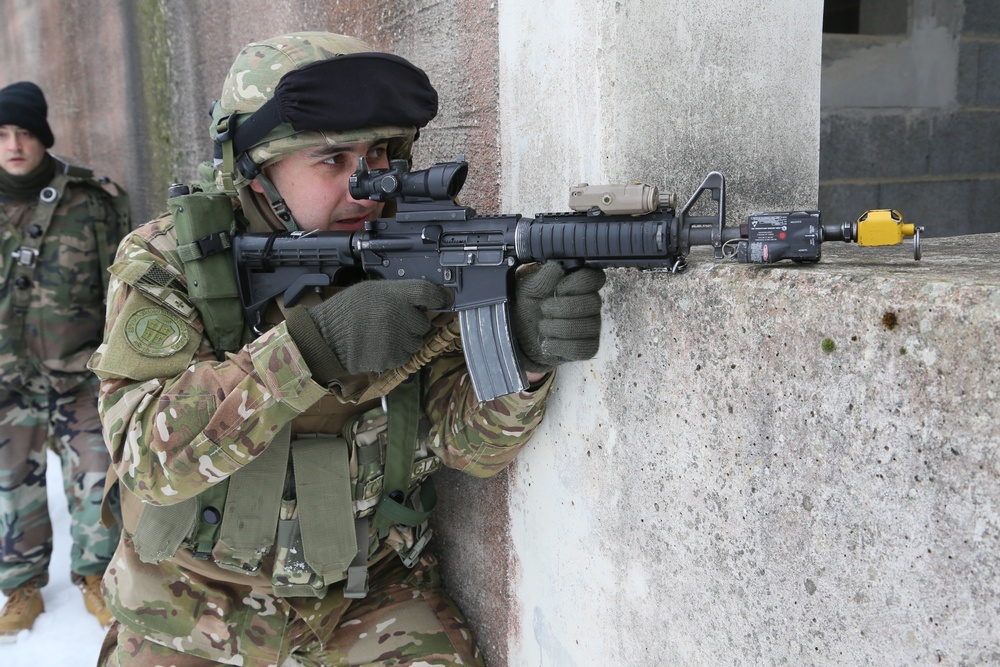 Georgian mission rehearsal exercise