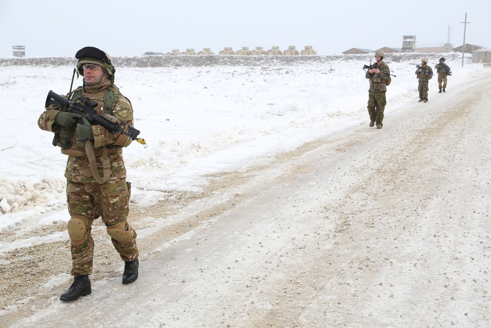 Georgian mission rehearsal exercise