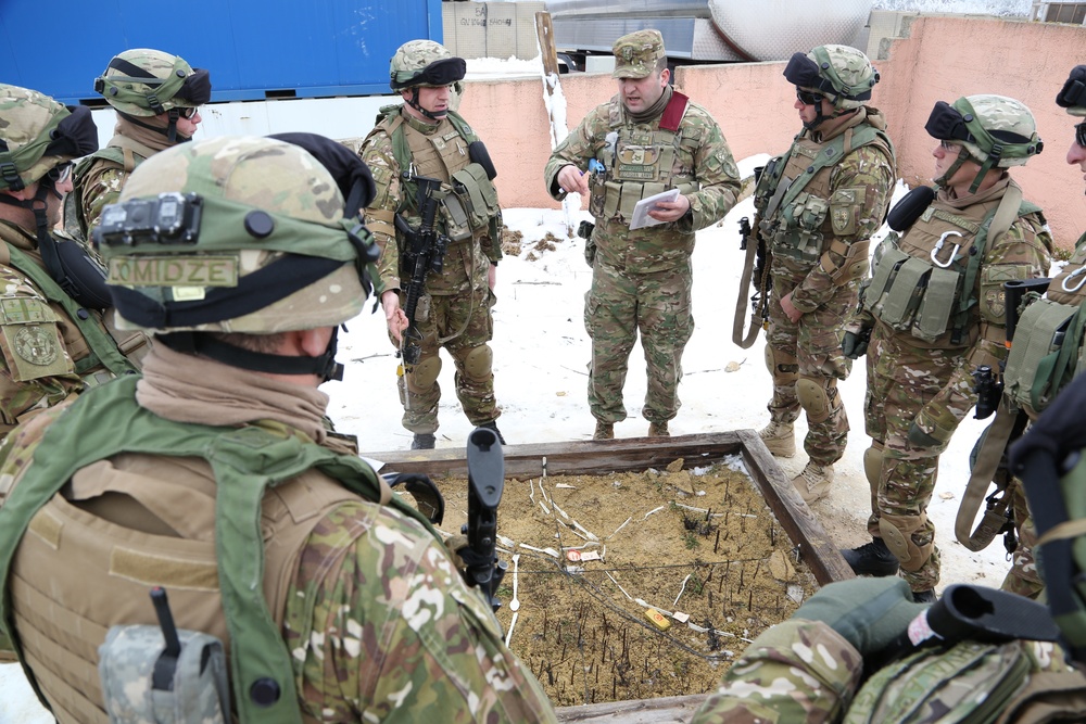 Georgian mission rehearsal exercise