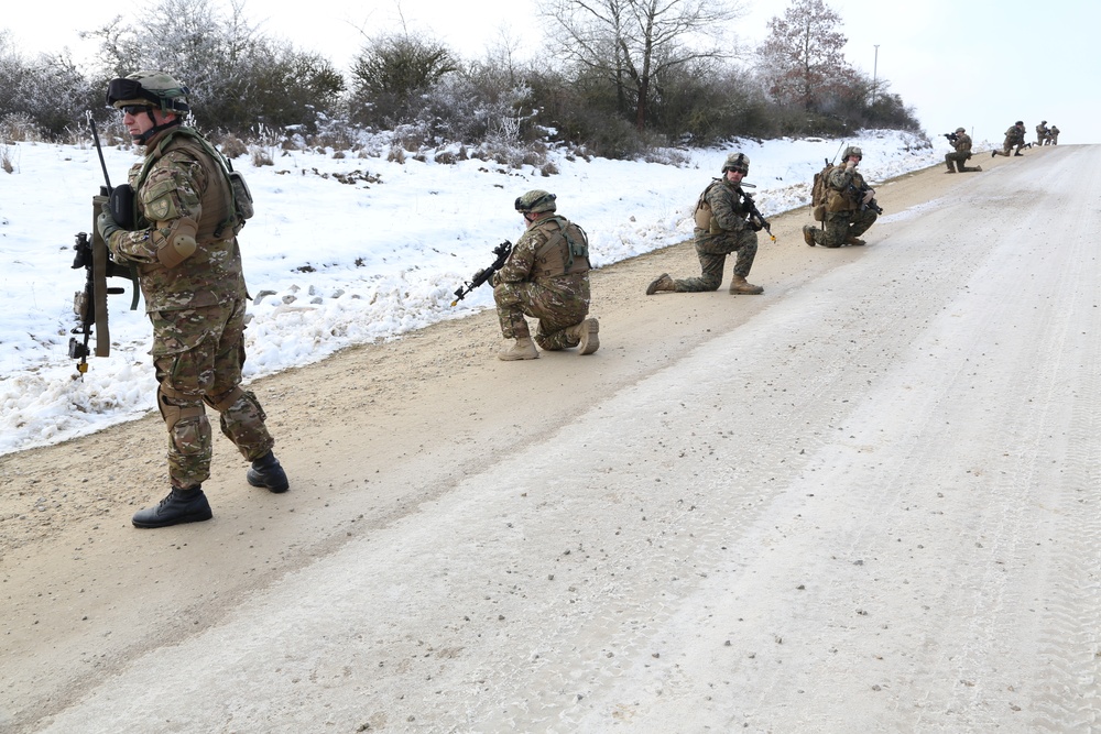 Georgian mission rehearsal exercise