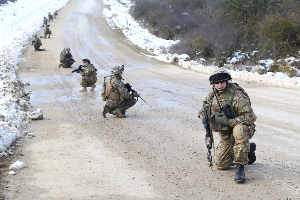 Georgian mission rehearsal exercise