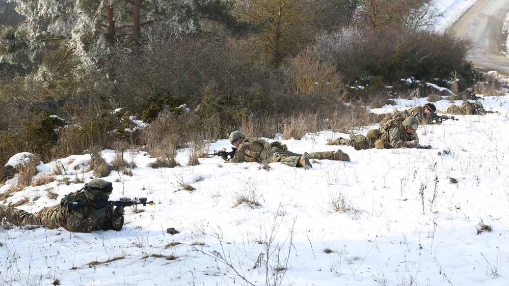 Georgian mission rehearsal exercise