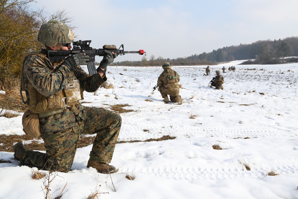 Georgian mission rehearsal exercise