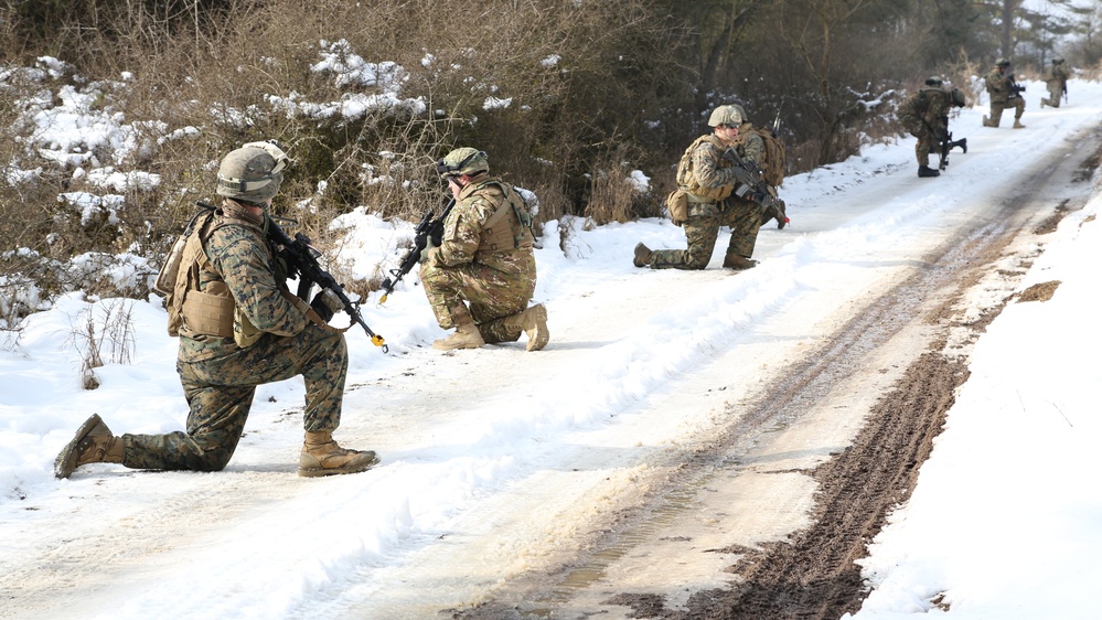 Georgian mission rehearsal exercise