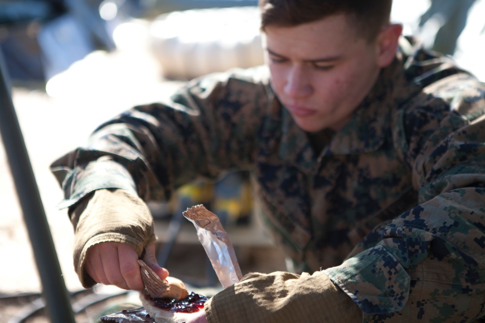 2nd Marine Division Command Post Exercise