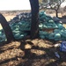 Army EOD techs clear mines found near Texas barn