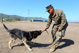 1st LE Bn. conducts training during MEFEX 15