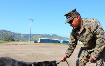 1st LE Bn. conducts training during MEFEX 15