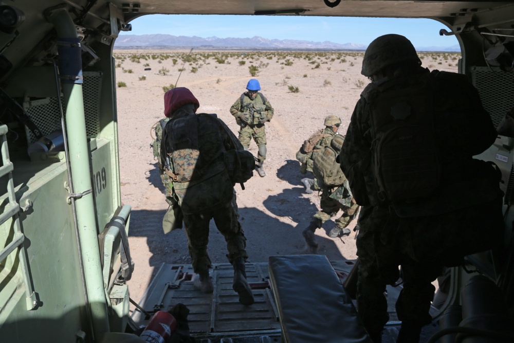 Iron Fist 2015 Mechanized Raid Dry Run