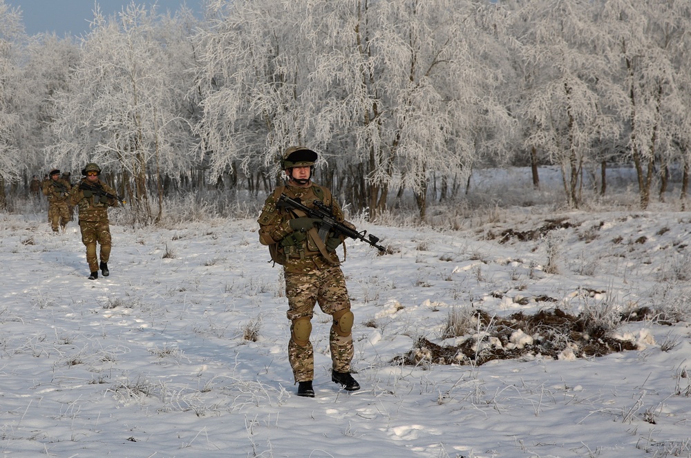Georgian soldier patrols during the Situational Training Exercise
