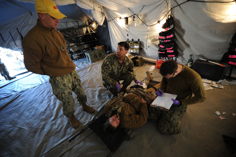 Operation Bearing Duel 2015