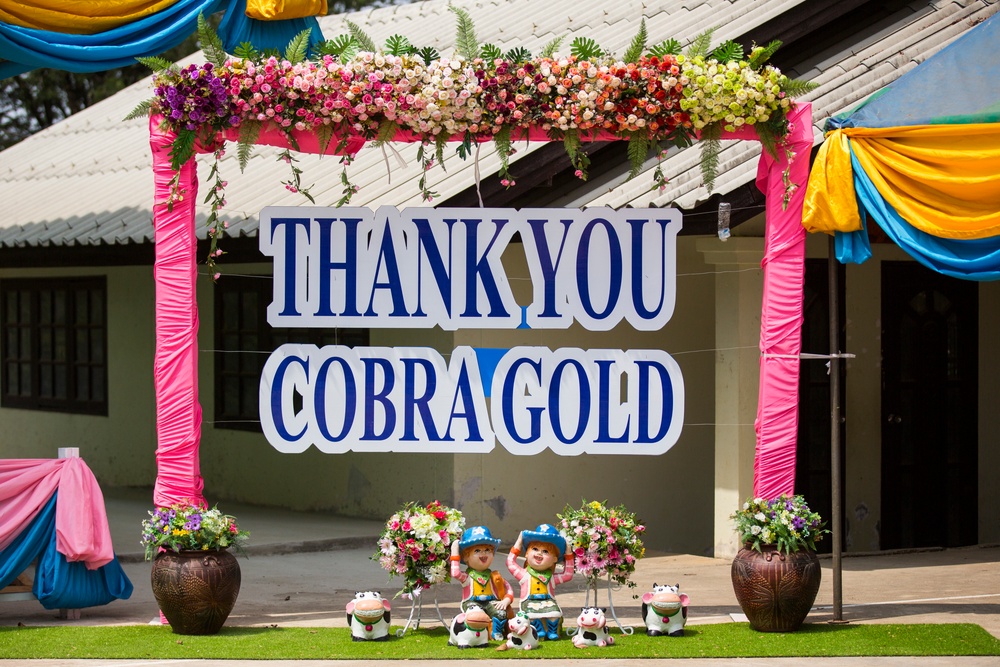 Cobra Gold 2015