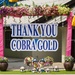 Cobra Gold 2015