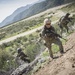 US military combat cameramen train in patrolling techniques