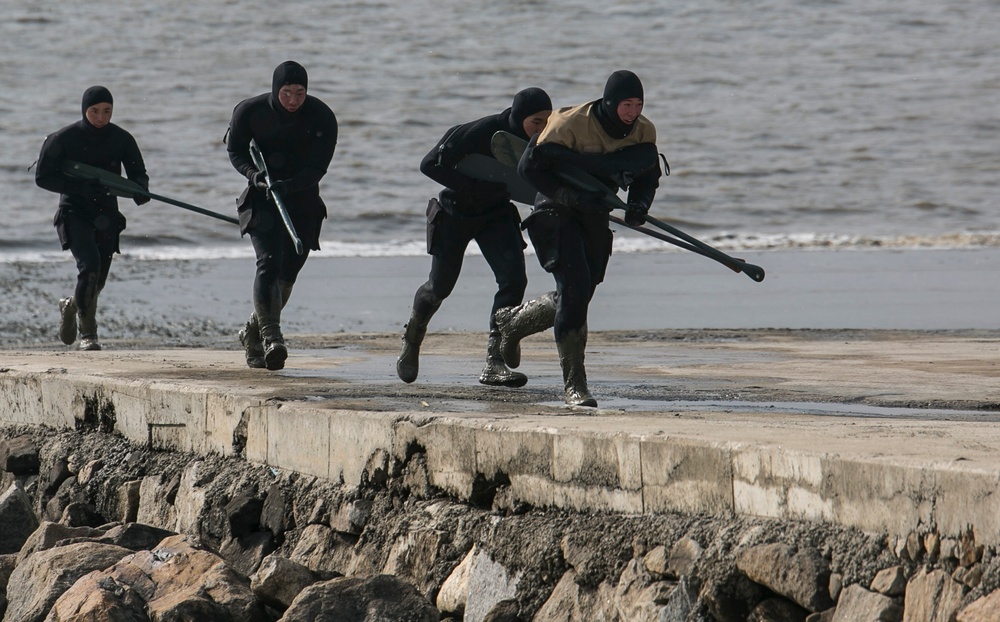 Marines use raiding craft for simulated beach demolition