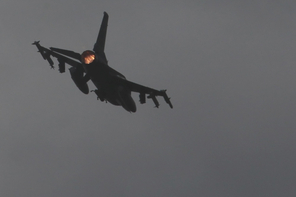 Sentry Savannah 2015