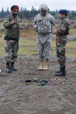 555th Engineer Soldiers showcase counter IED skill sets