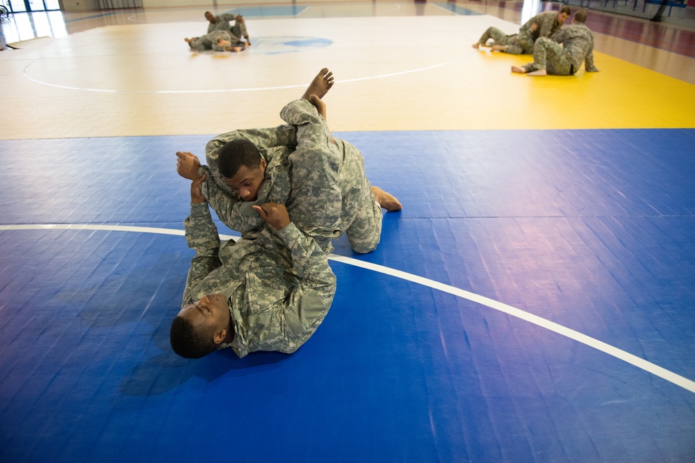 Tactical Combatives Course Level II in Chièvres, Belgium
