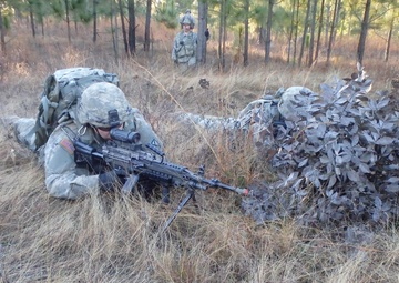 10th Mountain Division units integrate skills to maximize training