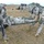 Scalpel medics casualty evacuation training