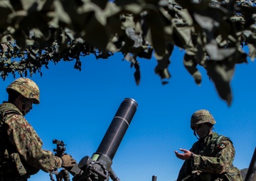 Japanese soldiers participate in combat training as part of Iron Fist 2015