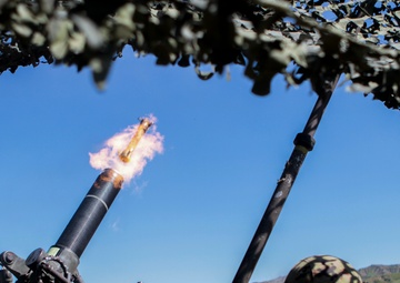 Japanese soldiers participate in combat training as part of Iron Fist 2015