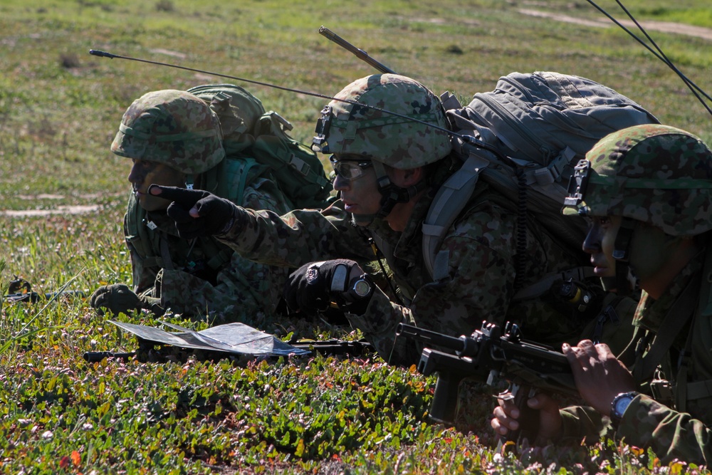 Japanese soldiers participate in combat training as part of Iron Fist 2015