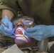 US Marines receive dental treatment during Deployment For Training exercise