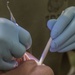 US Marines receive dental treatment during Deployment For Training exercise