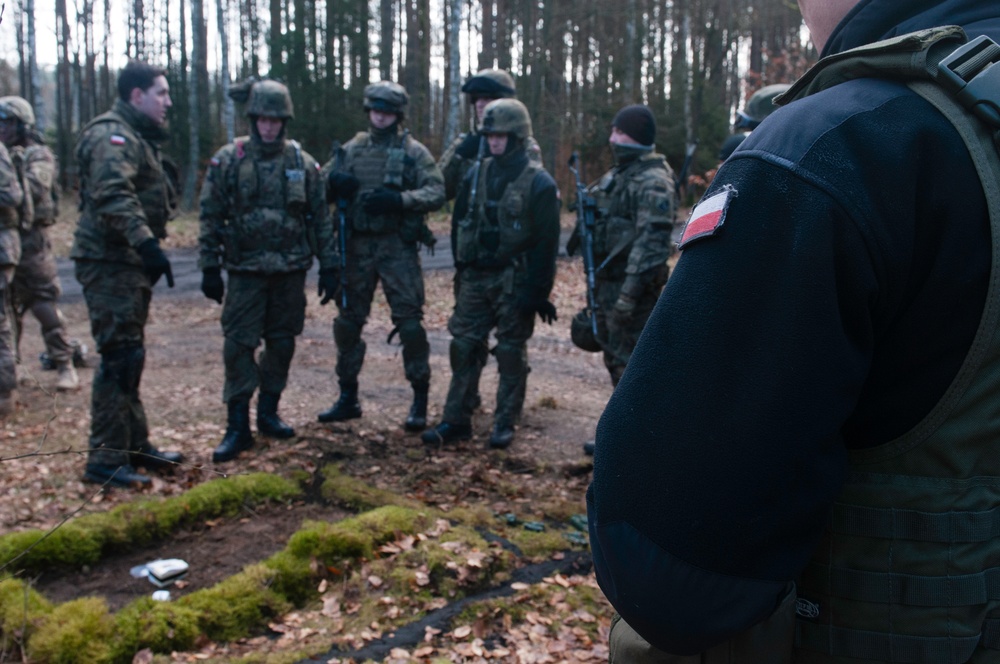 Combined training exercise brings US and Polish troops together