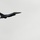 2015 Australian International Airshow and Aerospace & Defence Exposition A single F-16 Fighting Falcon jet fighter is captured in flight against an overcast gray sky. The aircraft is banking slightly and appears to be climbing or in level flight, moving from left to right. Tail markings indicate 'WW' designation, consistent with Misawa Air Base, Japan (35th Fighter Wing).