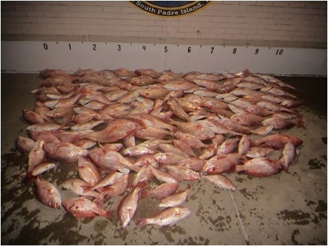 Coast Guard interdicts another Mexican fishing crew poaching in the Gulf of Mexico
