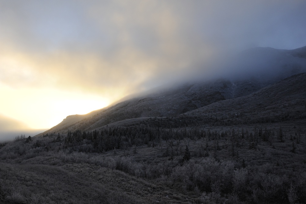 Exploring Alaska: Denali National Park