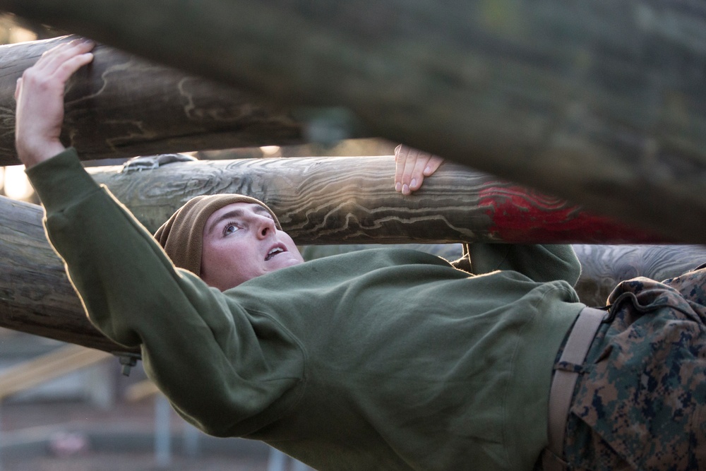 Marine recruits physically challenged on Parris Island’s Confidence Course