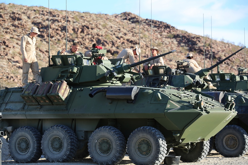 Integrated Task Force Tanks, LAVs prepare for assessment