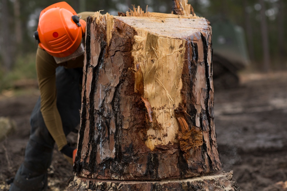 MWSS-274 Landing Zone Construction