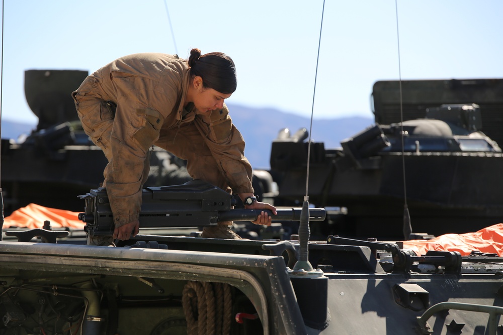 Integrated Task Force AAV Platoon rehearses gun drills