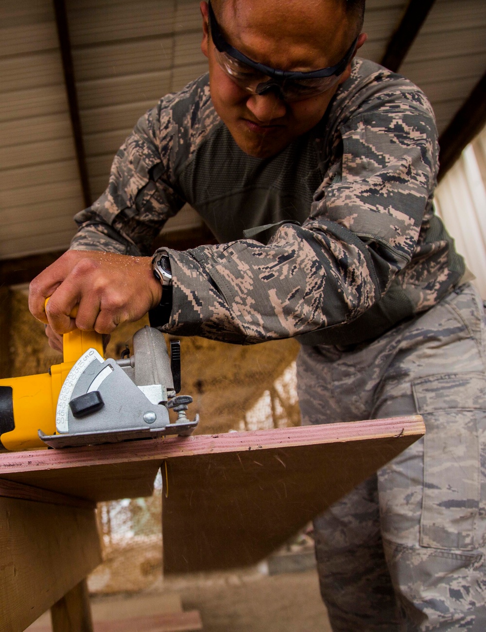 Working Dog Obstacle Build