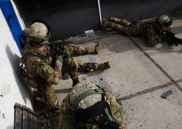 U.S. Marines and Georgian soldiers complete training