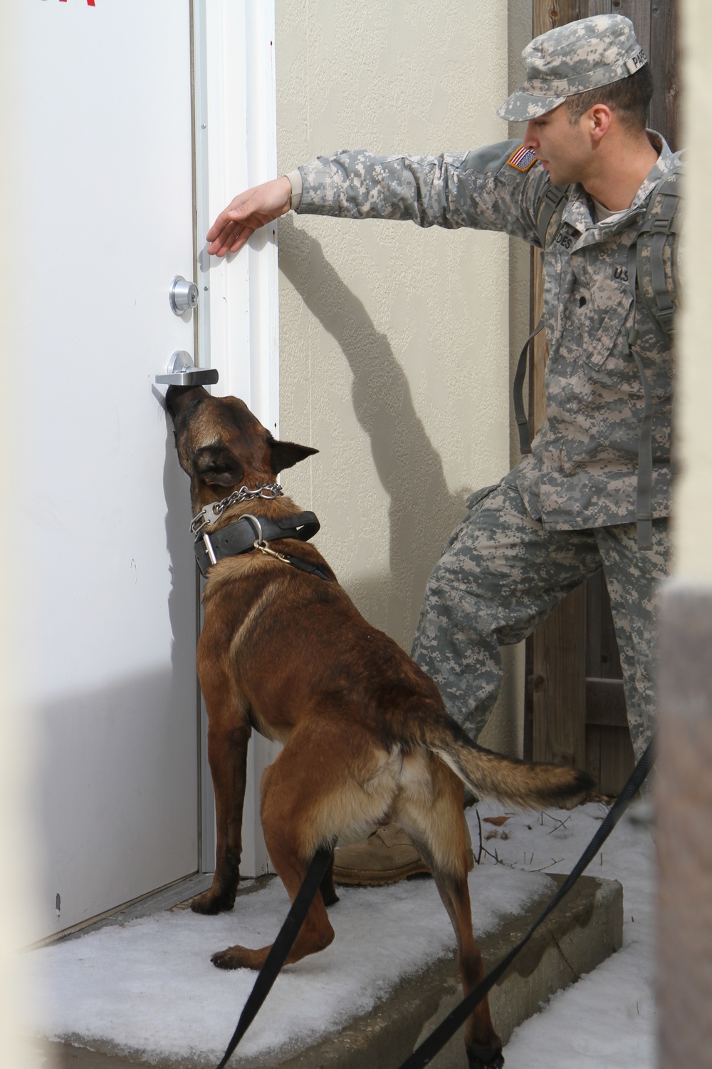 4th MEB units compete for Top Dog honors