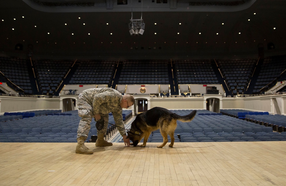 Military working dogs sniff out narcotics, explosives
