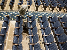 Military working dogs sniff out narcotics, explosives