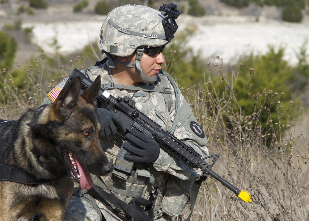Soldiers with 226th MWD master skills